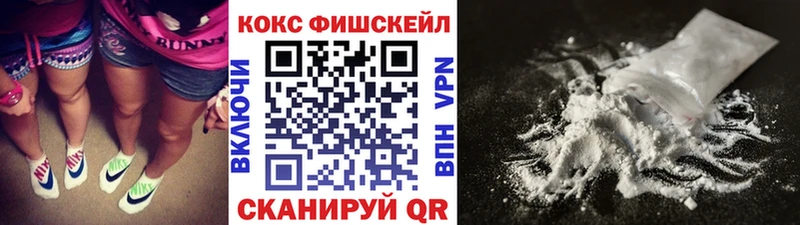 хочу наркоту  Горно-Алтайск  Кокаин FishScale 
