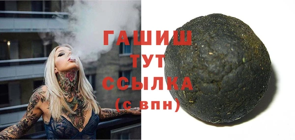 хмурый Аркадак
