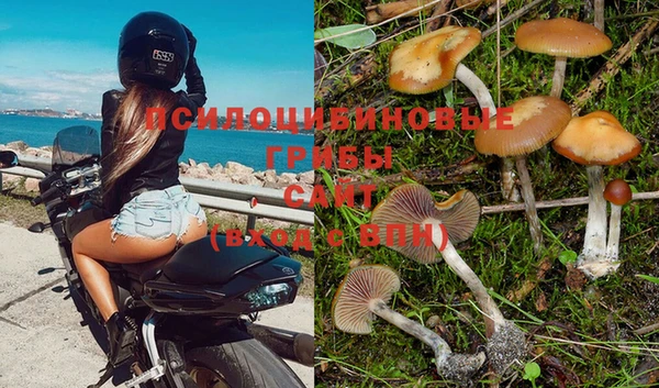 MESCALINE Арсеньев