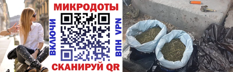 Псилоцибиновые грибы Cubensis  ОМГ ОМГ ссылка  Горно-Алтайск  купить наркоту 